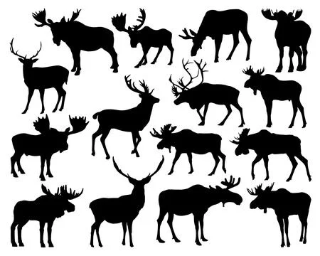 MOOSE SILHOUETTE VECTOR ART Stock Illustration
