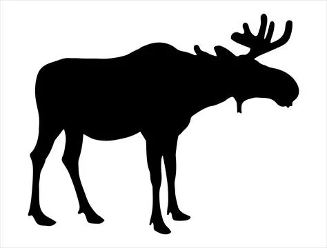 Moose silhouette vector art Illustrazione stock