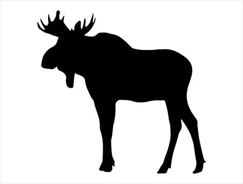 Moose silhouette vector art Stock Illustration