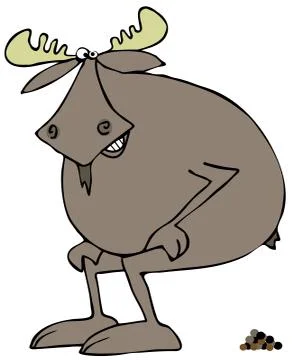 Moose squatting to poop Stock Illustration