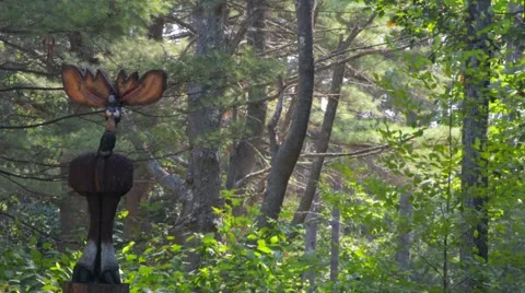 Moose Statue in Middle of Woods Stock Footage 58106276