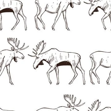 Moose. Vector  pattern. Stock Illustration
