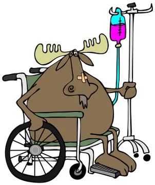 Moose in a wheelchair Illustrazione stock