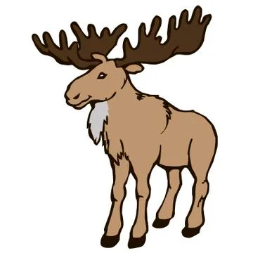 Moose on a white background Stock Illustration