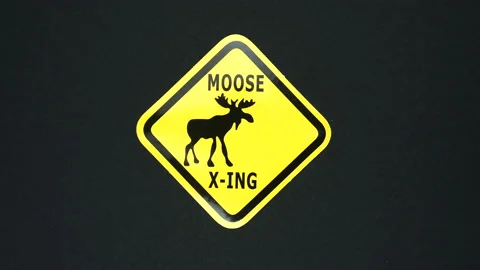 MOOSE, WILD ANIMALS warning sign word text Stock Footage 126670632