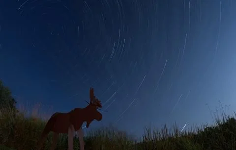 MooseStarTrails Stock Photos