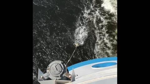 MOP washed in the river behind the ship Stock Footage 100259037