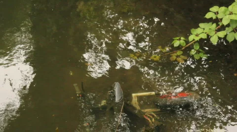 Moped in river 6 Video stock 862012