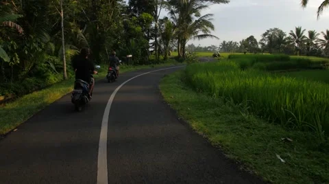 Mopeds glide through rice paddy 動画素材 56190806