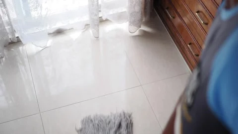 Mopping the floor in a home setting Stock Footage 340863418