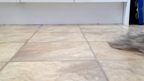 Mopping Floor Low Angle 스톡 동영상 75020700