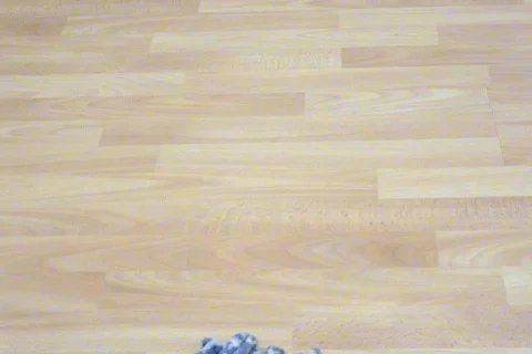 Mopping Hardwood From Behind (High Angle) Stock Footage