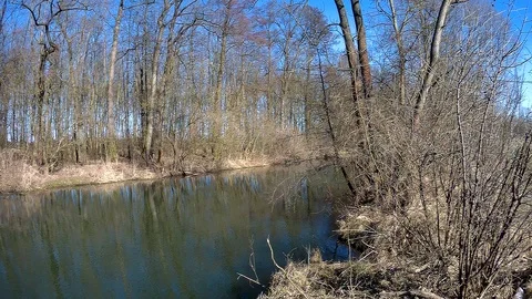 Morava river 1 Stock Footage 87470554