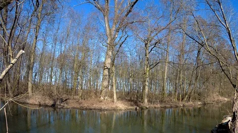 Morava river Stock Footage 87470441
