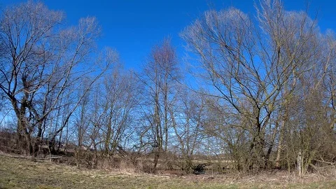 Morava river side Stock Footage 87470844