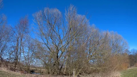 Morava riveside 2 Stock Footage 87470956