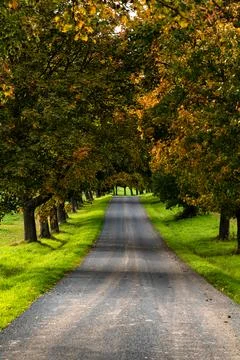 Moravian fields during autumn, Czech Republic Stock Photos