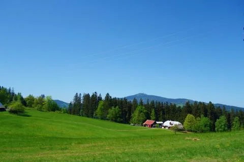 Moravian fields with a green meadow during spring overlooking the highest pea Stock Photos