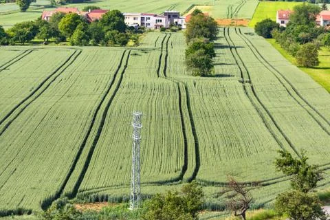 Moravian fields Stock Photos