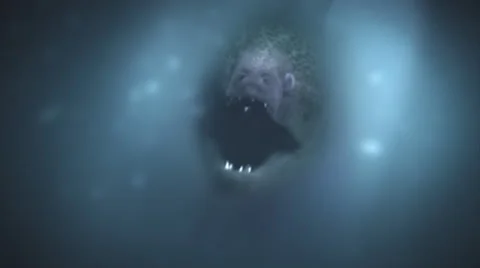 Moray hiding in a cave deep underwater. Stock Footage 44558405