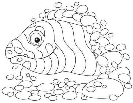 Moray Stock Illustration