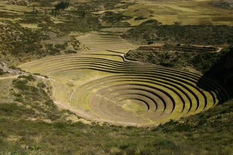 Moray Stock Photos