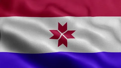 Mordovia flag Front Video stock 318667284