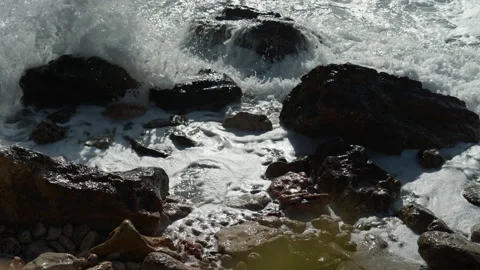 More 09 Stock Footage 161789854