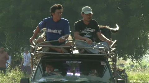 More arrivals 5 Stock Footage 483262