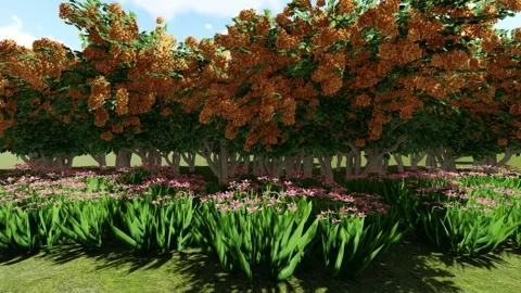 More Big and small Flower Tree in the Field Stock Footage 337249157