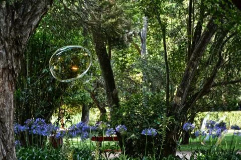 More Bubbles Stock Photos