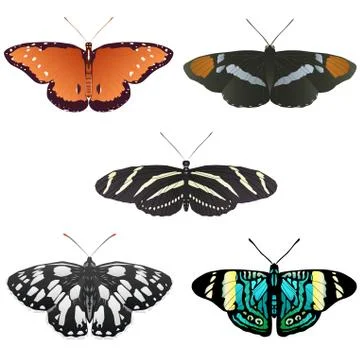 More butterflies Stock Illustration