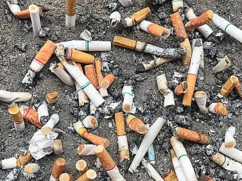 More cigarette stub in the trash Stock Photos