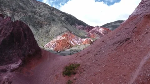 More colors Video stock 245477566