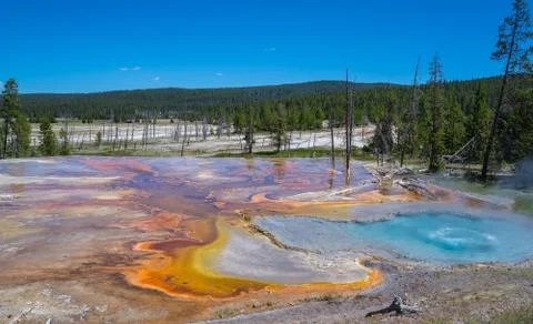 More Colors Stockfoto's