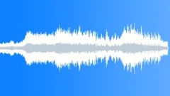 More Organic Stock Music