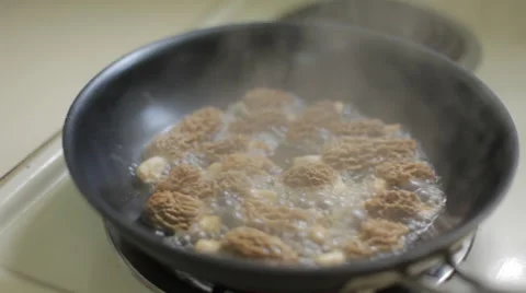 Morel Mushroom Video stock 47258102