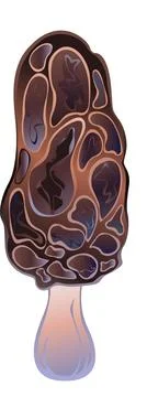 Morel mushroom Stock Illustration