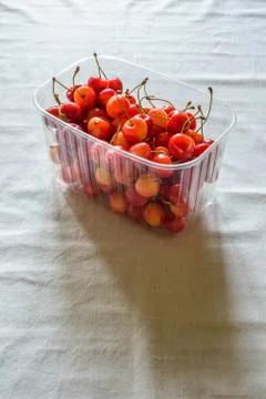Morello Cherries Stock Photos