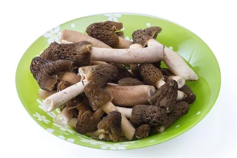 Morels Foto stock