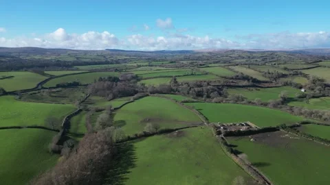 Moretonhampstead, Devon, England: DRONE VIEWS: A field of grazing sheep (1) Stock Footage 264952023