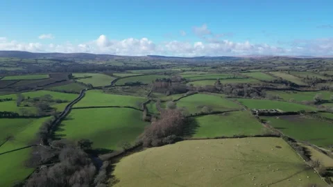 Moretonhampstead, Devon, England: DRONE VIEWS: A field of grazing sheep (3) Stock Footage 264952126