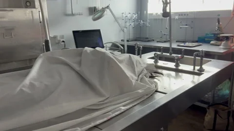 Morgue, body cinamatic Stock Footage 229752409