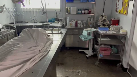 Morgue, body cinamatic Stock Footage 229753071