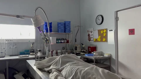 Morgue, body cinamatic Stock Footage 229753876