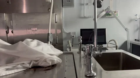 Morgue, body cinamatic Stock Footage 229754638
