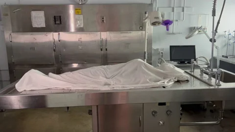 Morgue, body cinamatic Stock Footage 229756176