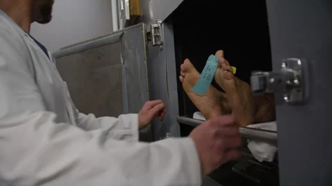 Morgue doctor putting corpse into cooler Stock Footage 283881446
