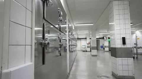 Morgue Stock Footage 165442567