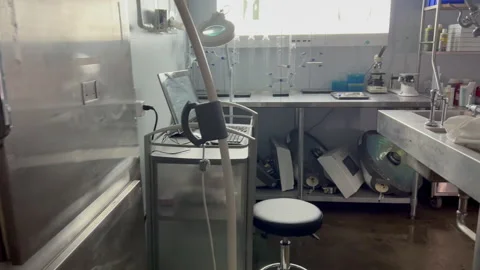 Morgue push through Stock Footage 229754890